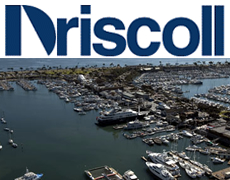 Driscoll