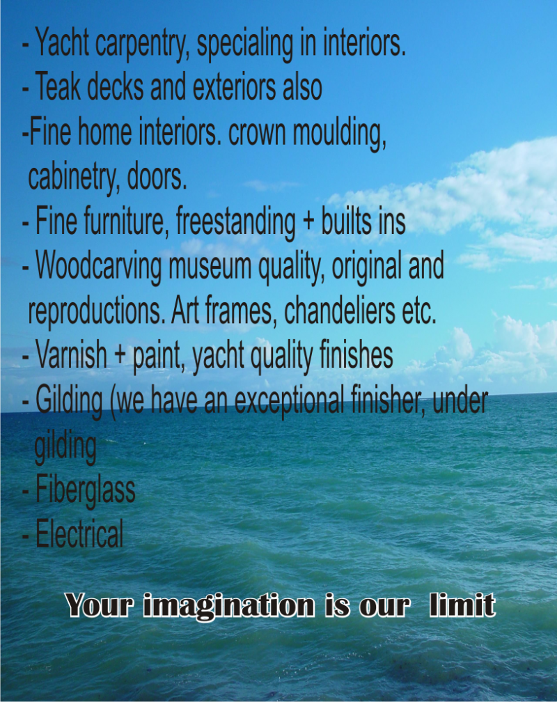 monitor marine
