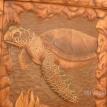 Turttle door